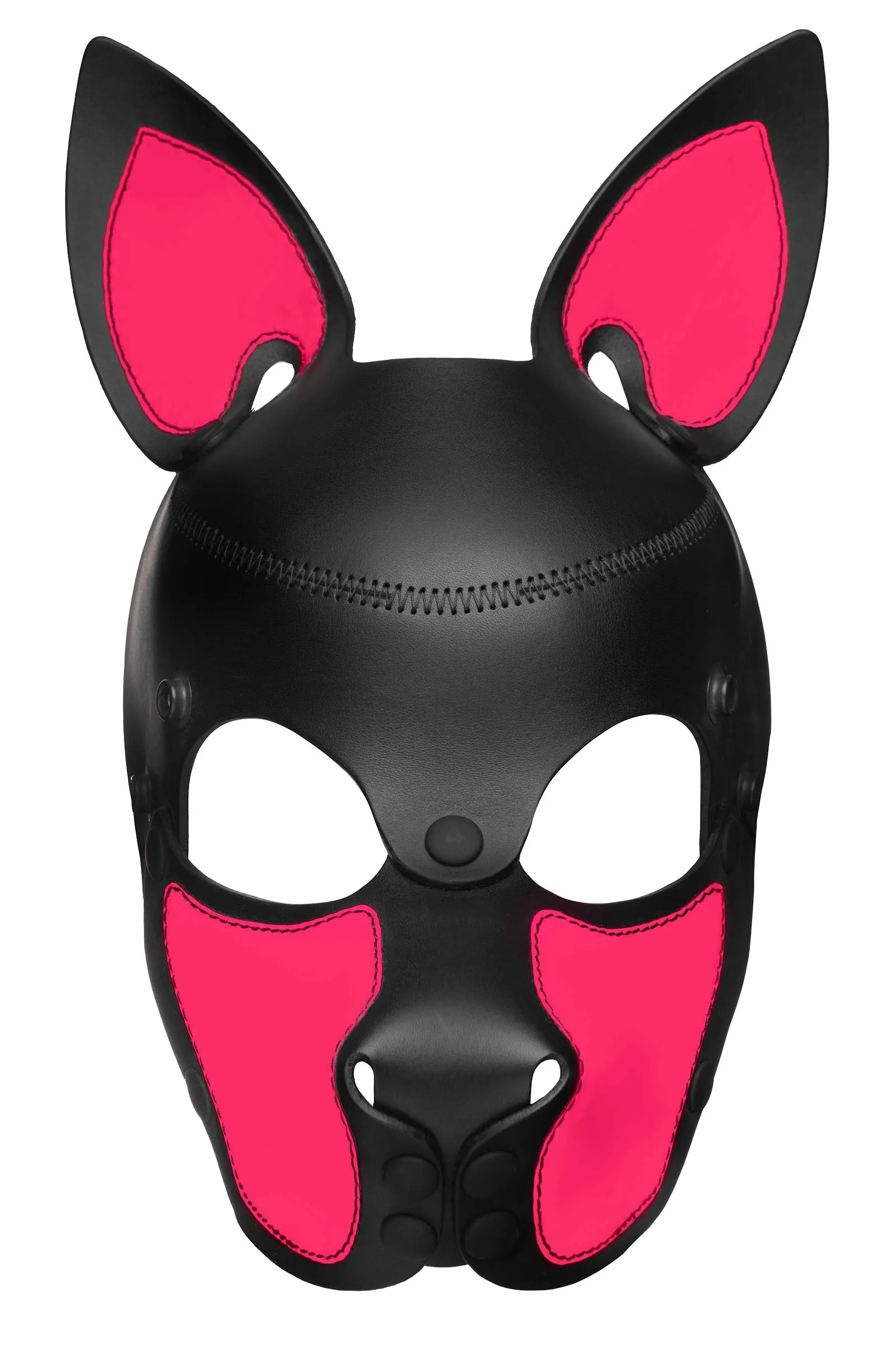 HEAD HARNESS PUP "SCOUT" - Fluro Colours