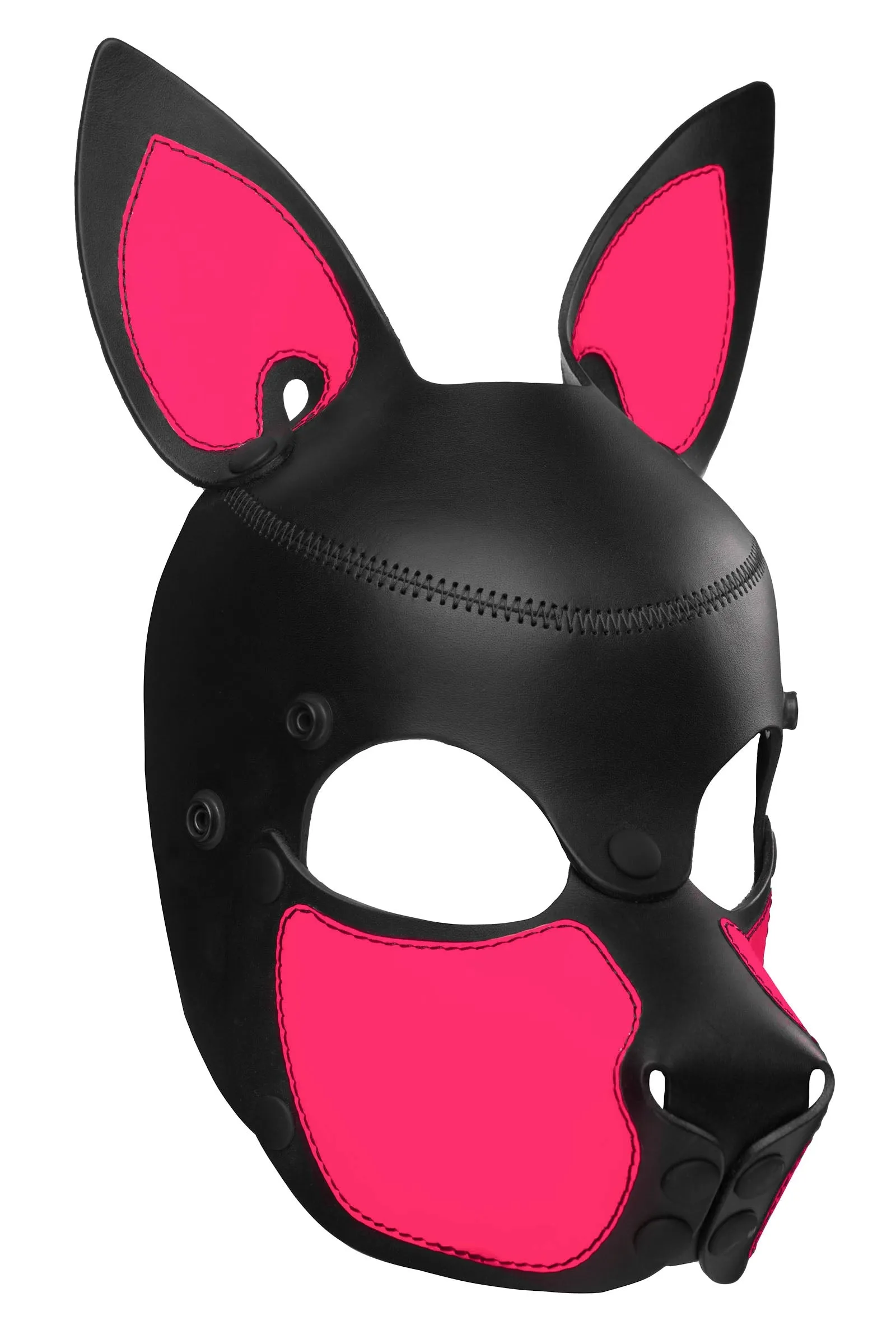 HEAD HARNESS PUP "SCOUT" - Fluro Colours