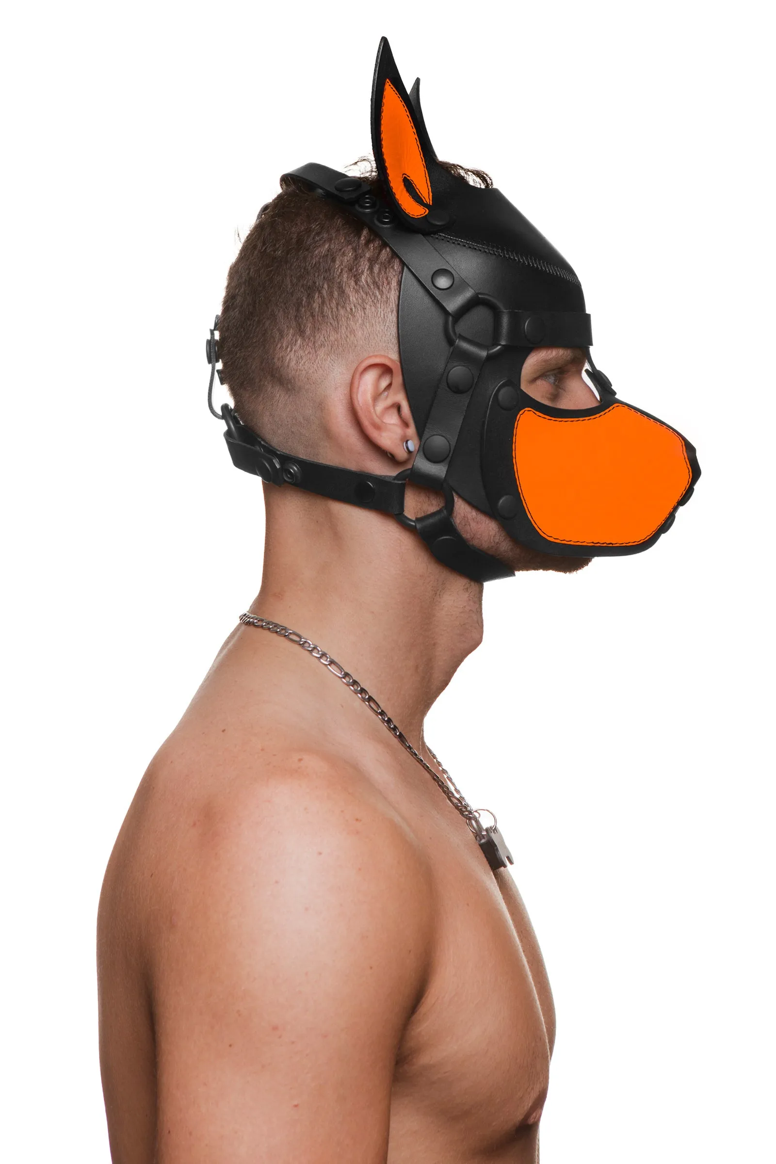 HEAD HARNESS PUP "SCOUT" - Fluro Colours