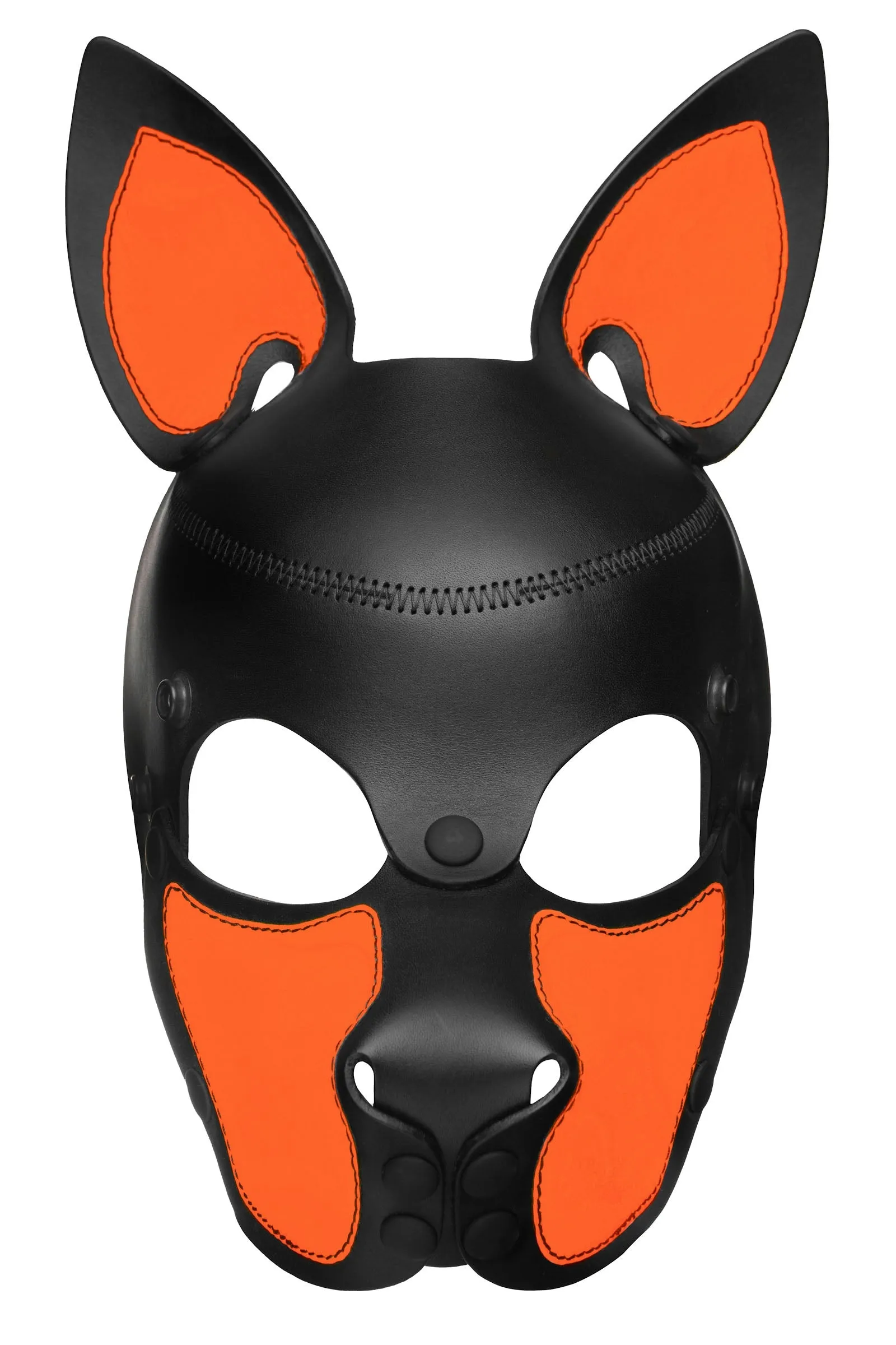 HEAD HARNESS PUP "SCOUT" - Fluro Colours
