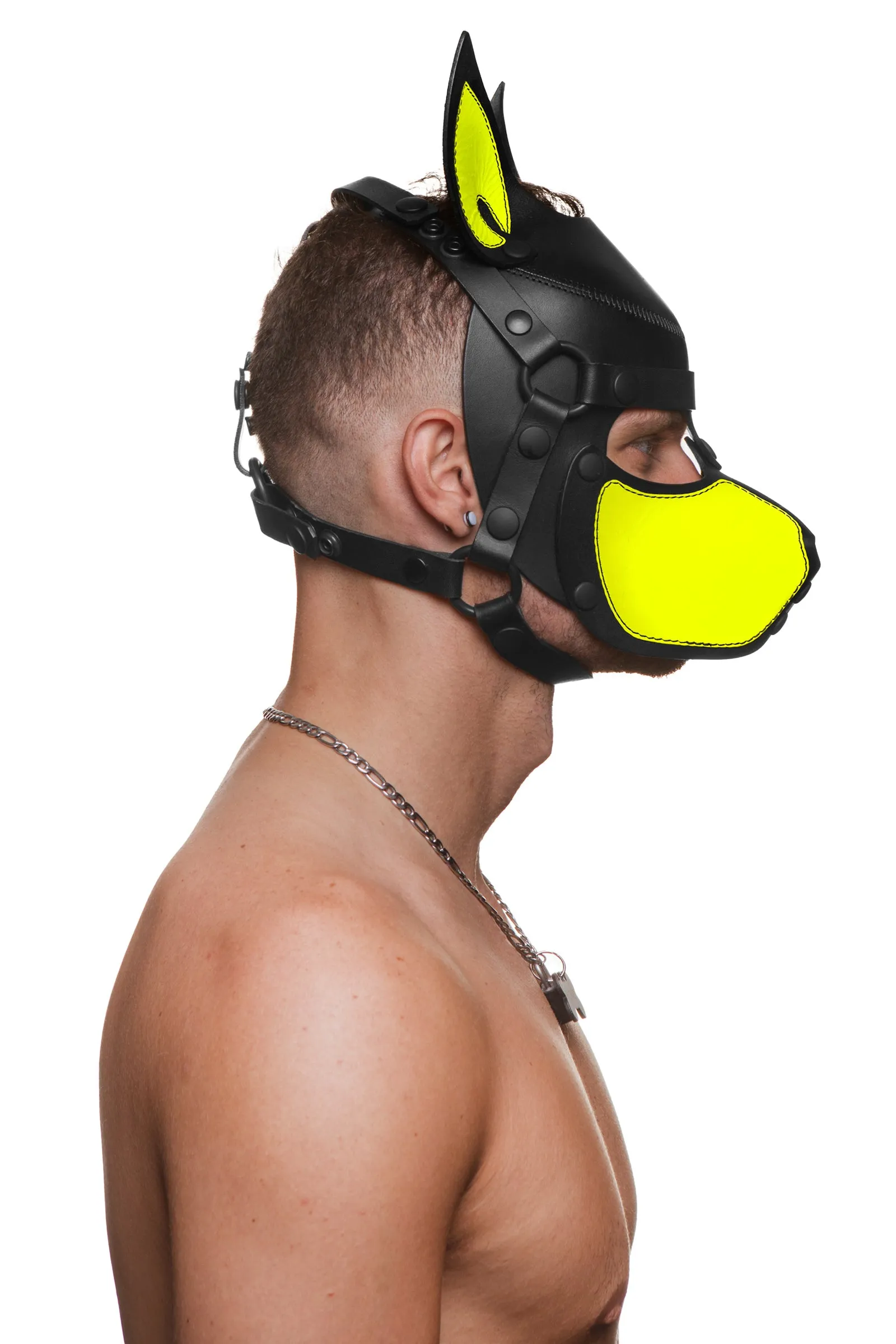 HEAD HARNESS PUP "SCOUT" - Fluro Colours