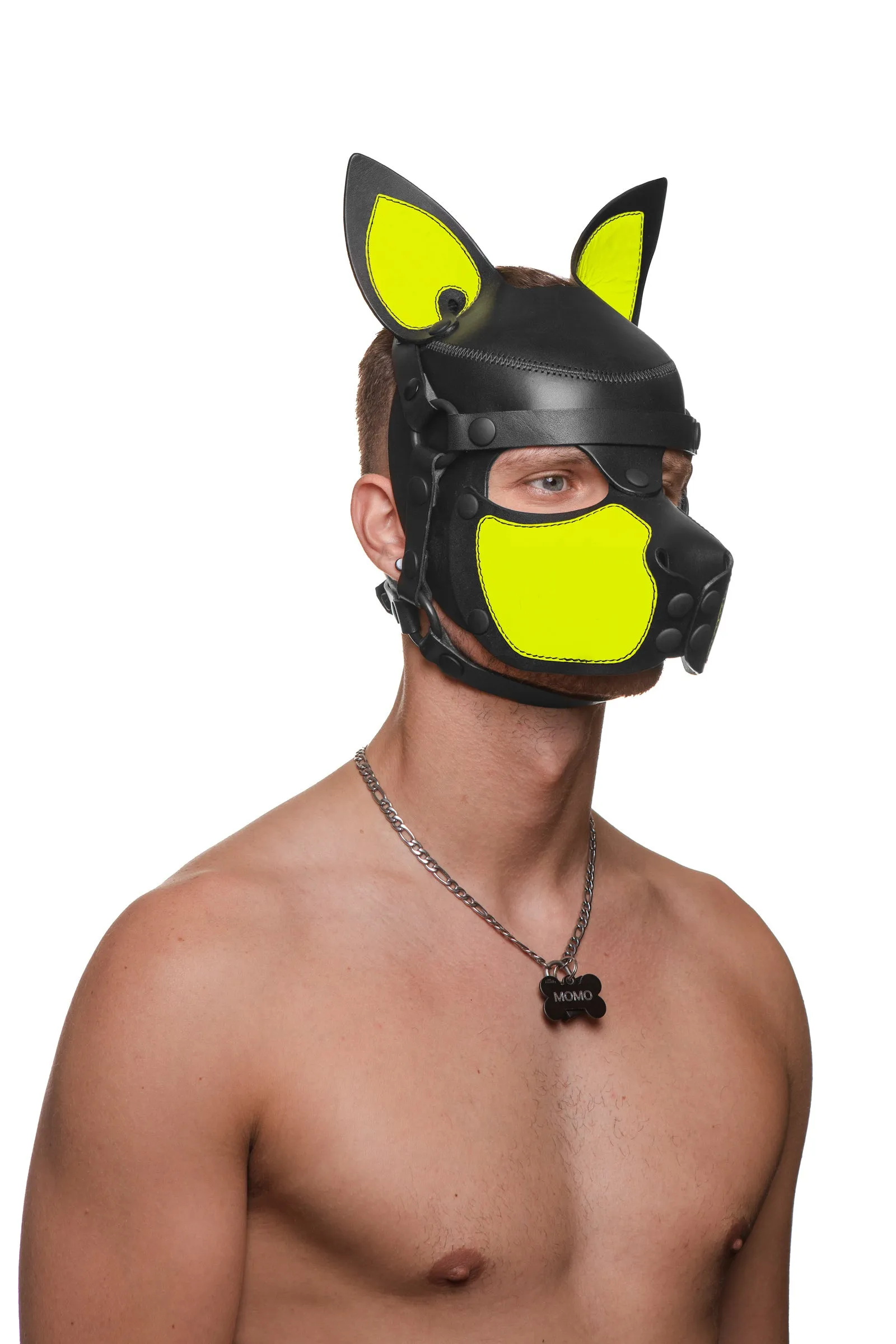 HEAD HARNESS PUP "SCOUT" - Fluro Colours