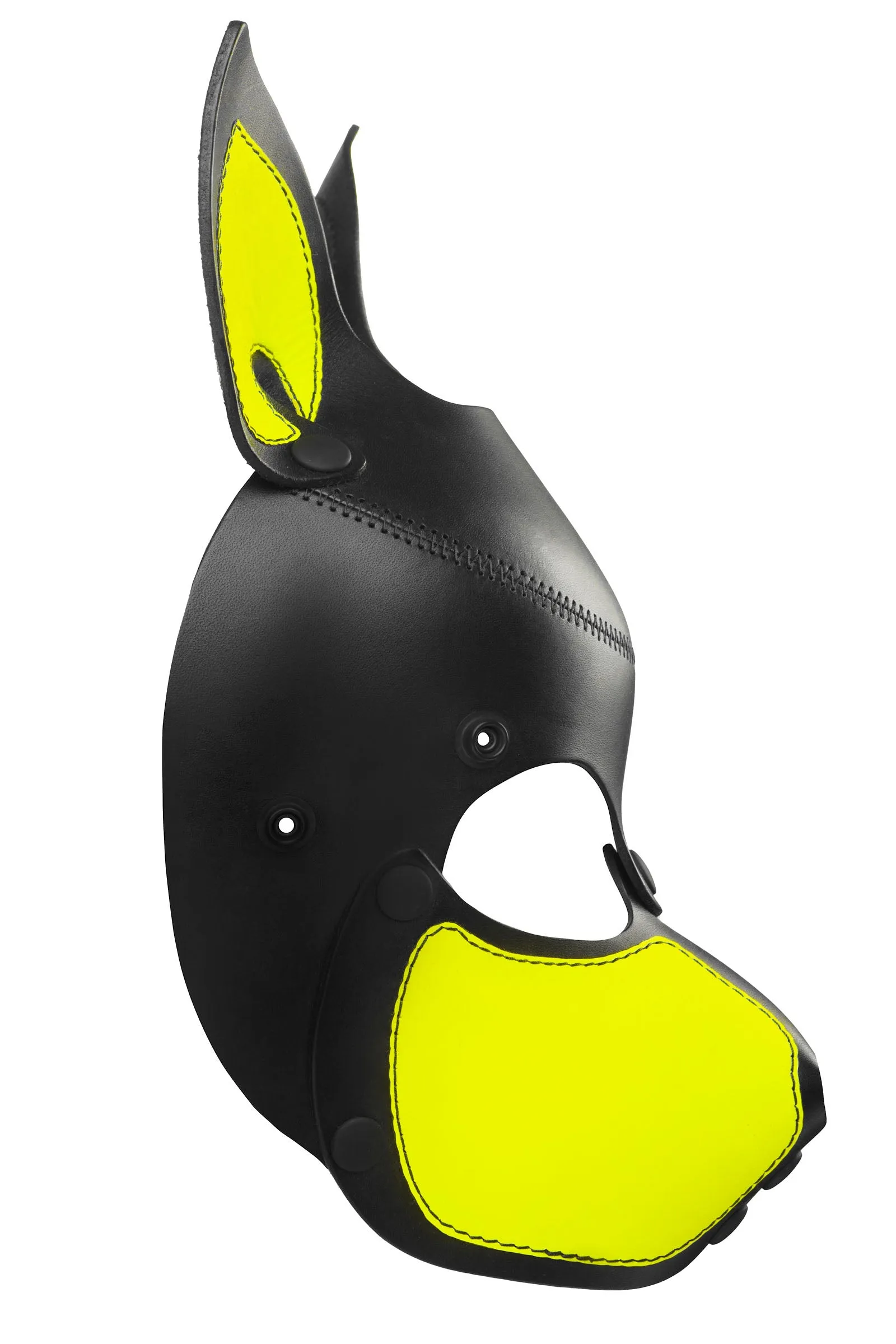 HEAD HARNESS PUP "SCOUT" - Fluro Colours