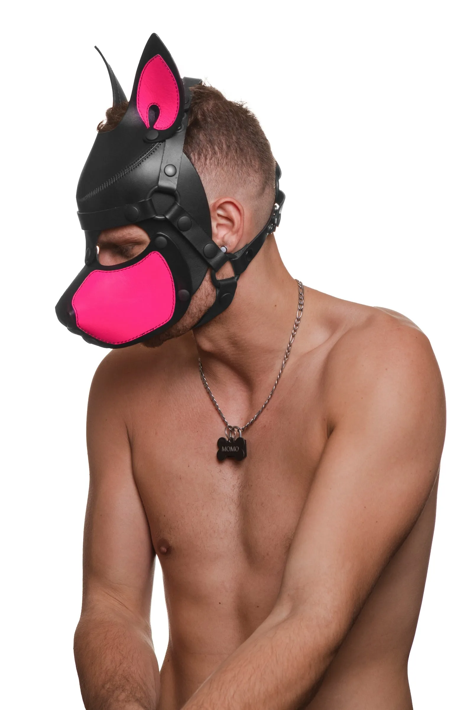 HEAD HARNESS PUP "SCOUT" - Fluro Colours