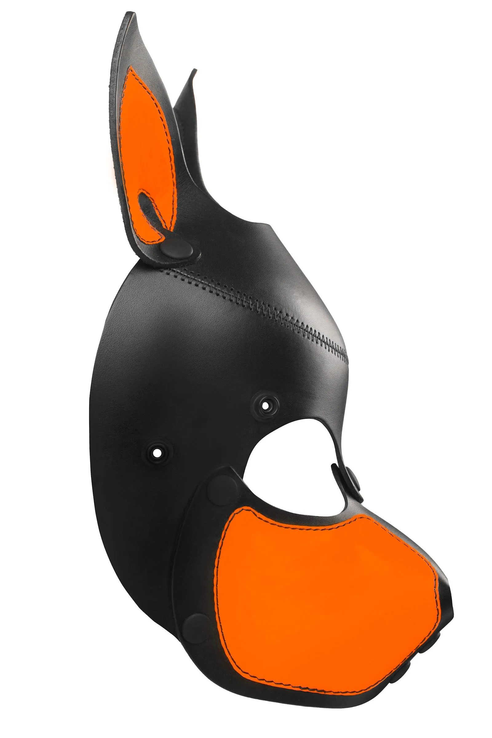 HEAD HARNESS PUP "SCOUT" - Fluro Colours