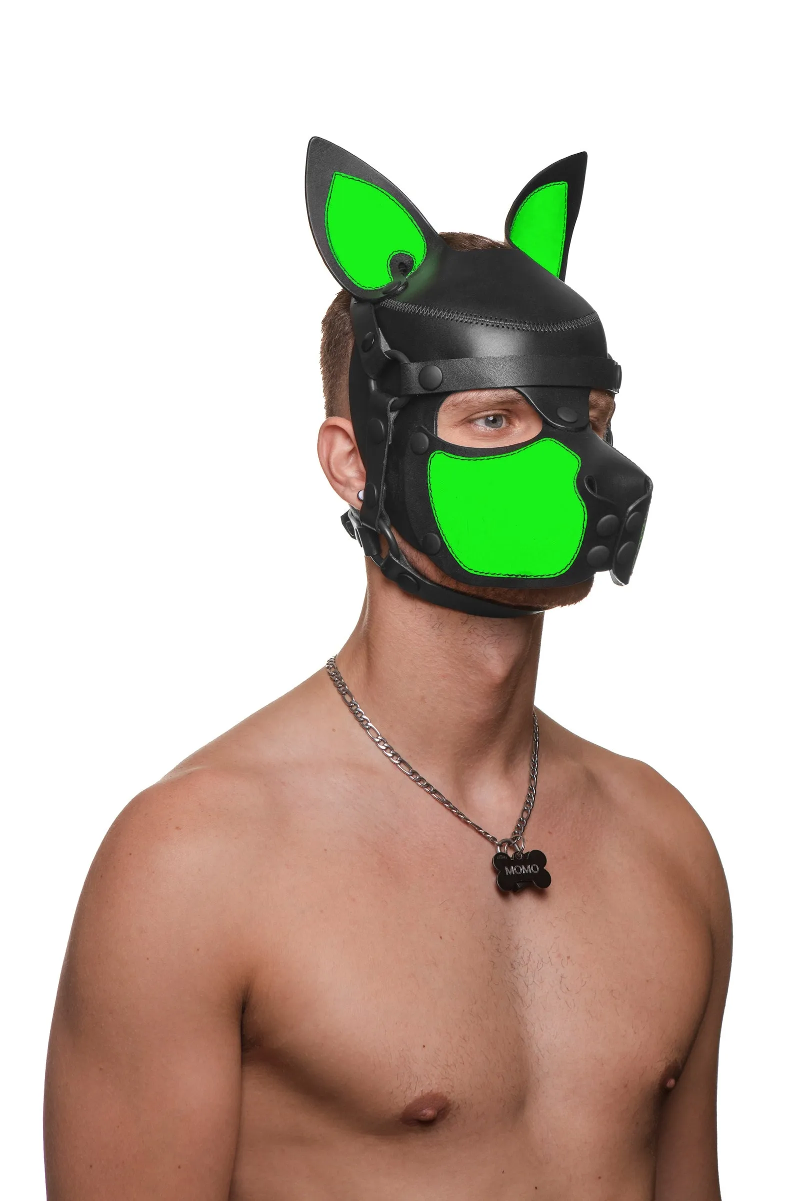 HEAD HARNESS PUP "SCOUT" - Fluro Colours
