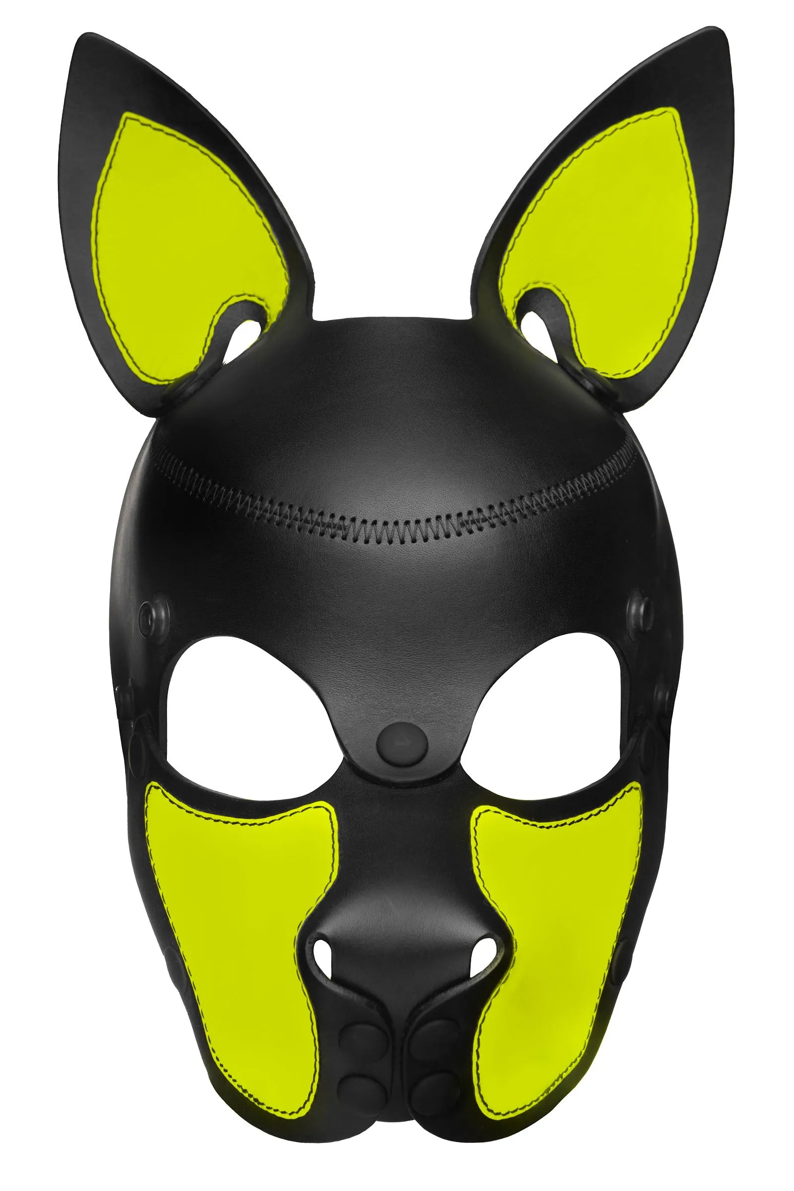 HEAD HARNESS PUP "SCOUT" - Fluro Colours