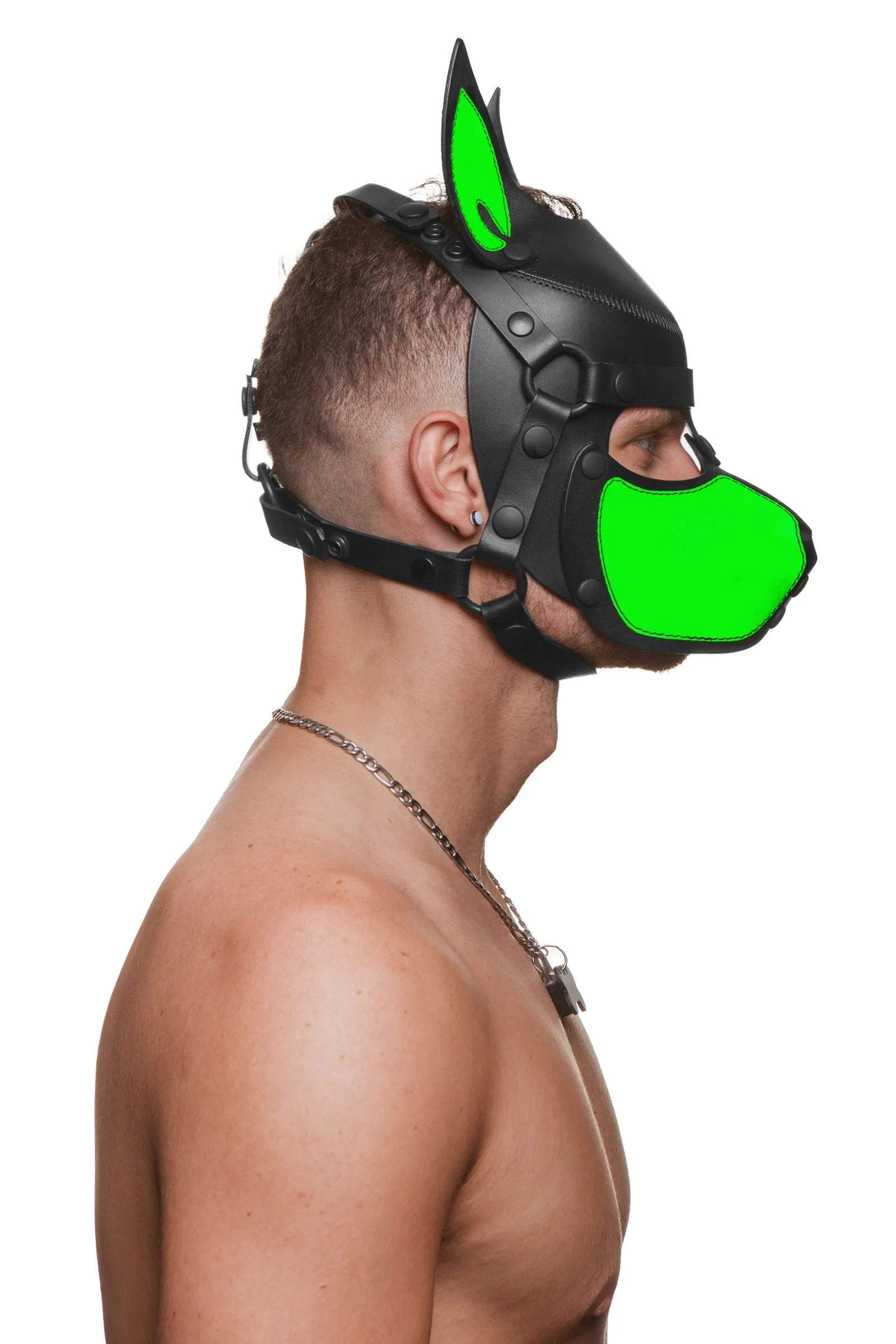 HEAD HARNESS PUP "SCOUT" - Fluro Colours