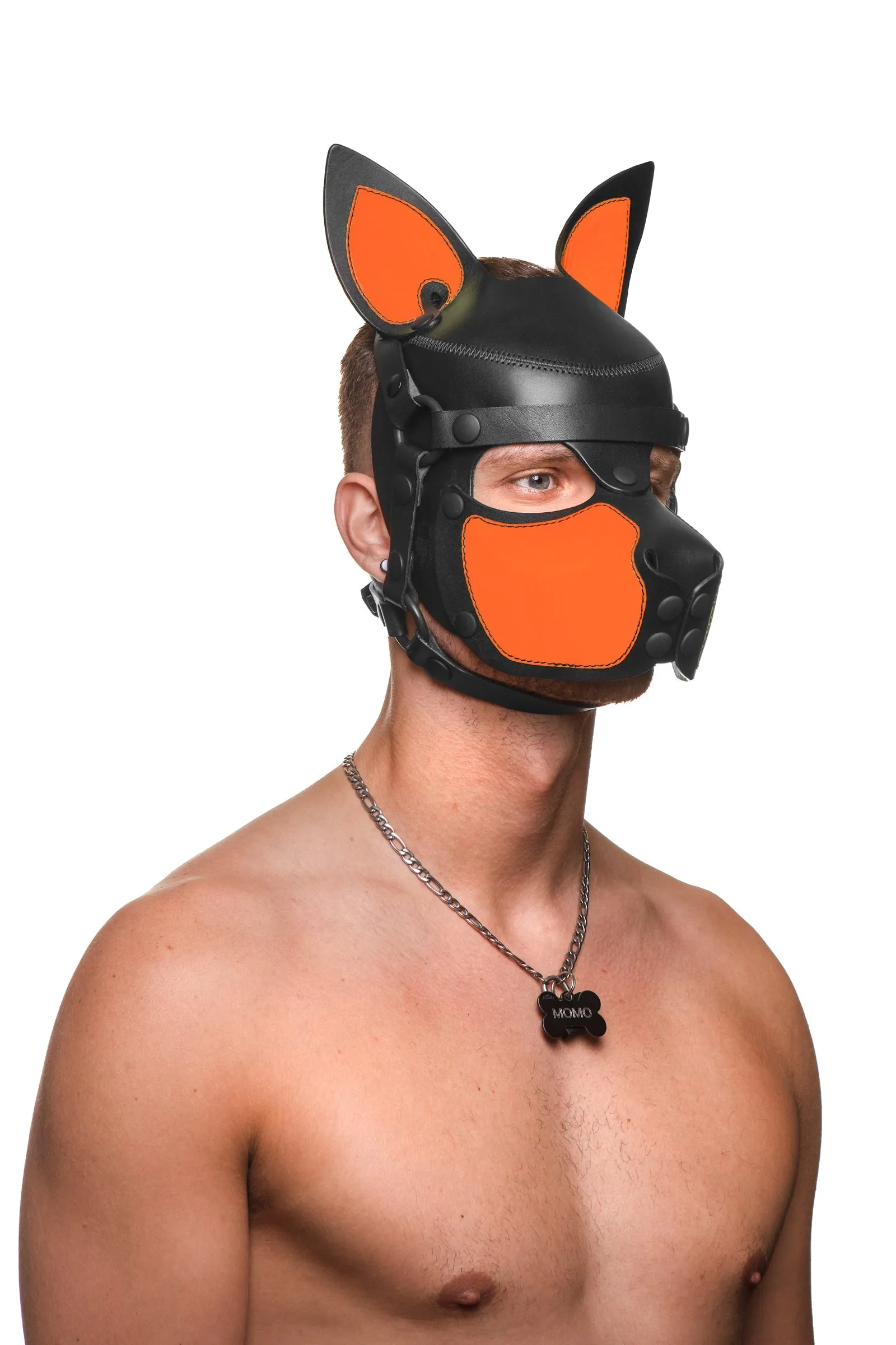 HEAD HARNESS PUP "SCOUT" - Fluro Colours