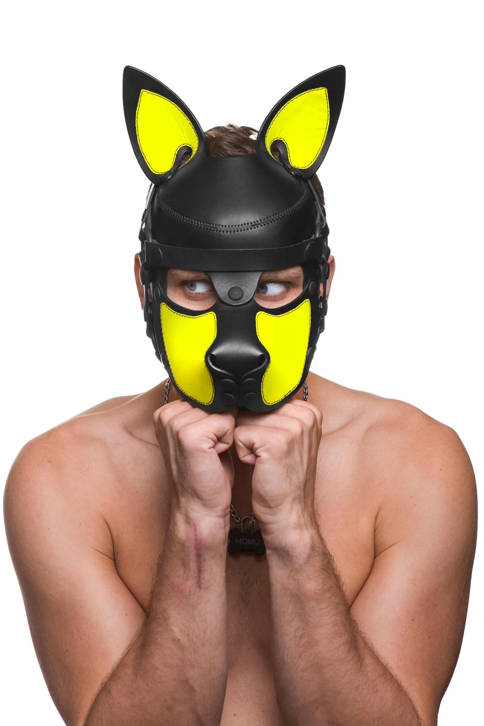 HEAD HARNESS PUP "SCOUT" - Fluro Colours
