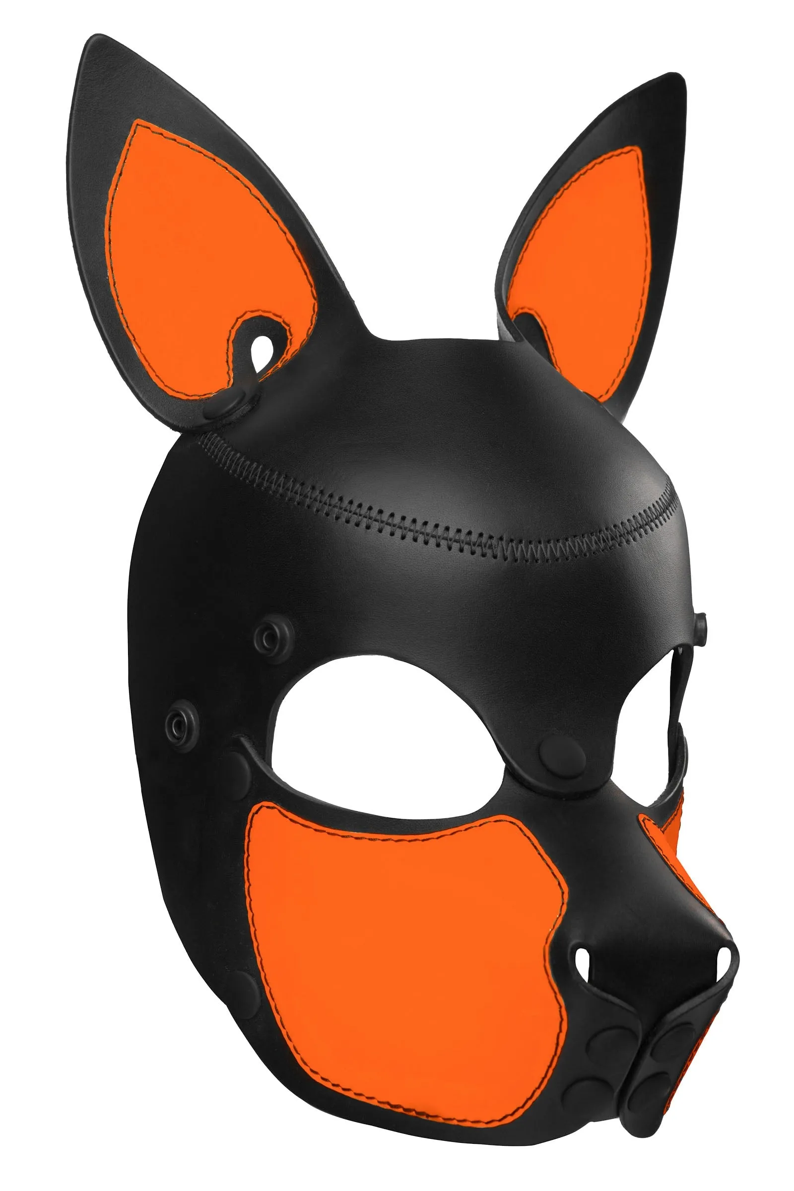 HEAD HARNESS PUP "SCOUT" - Fluro Colours