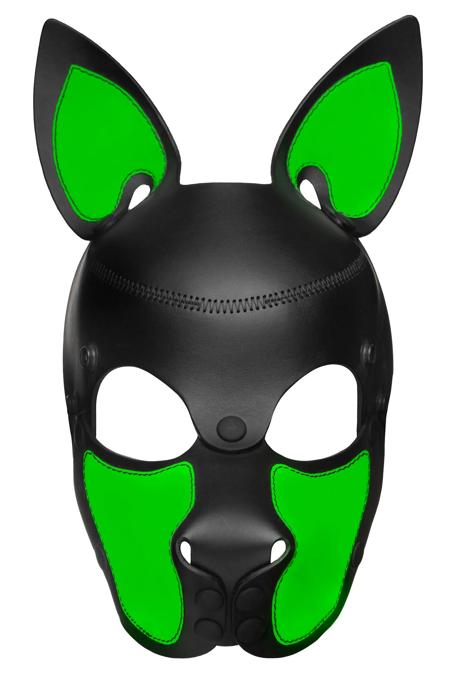 HEAD HARNESS PUP "SCOUT" - Fluro Colours