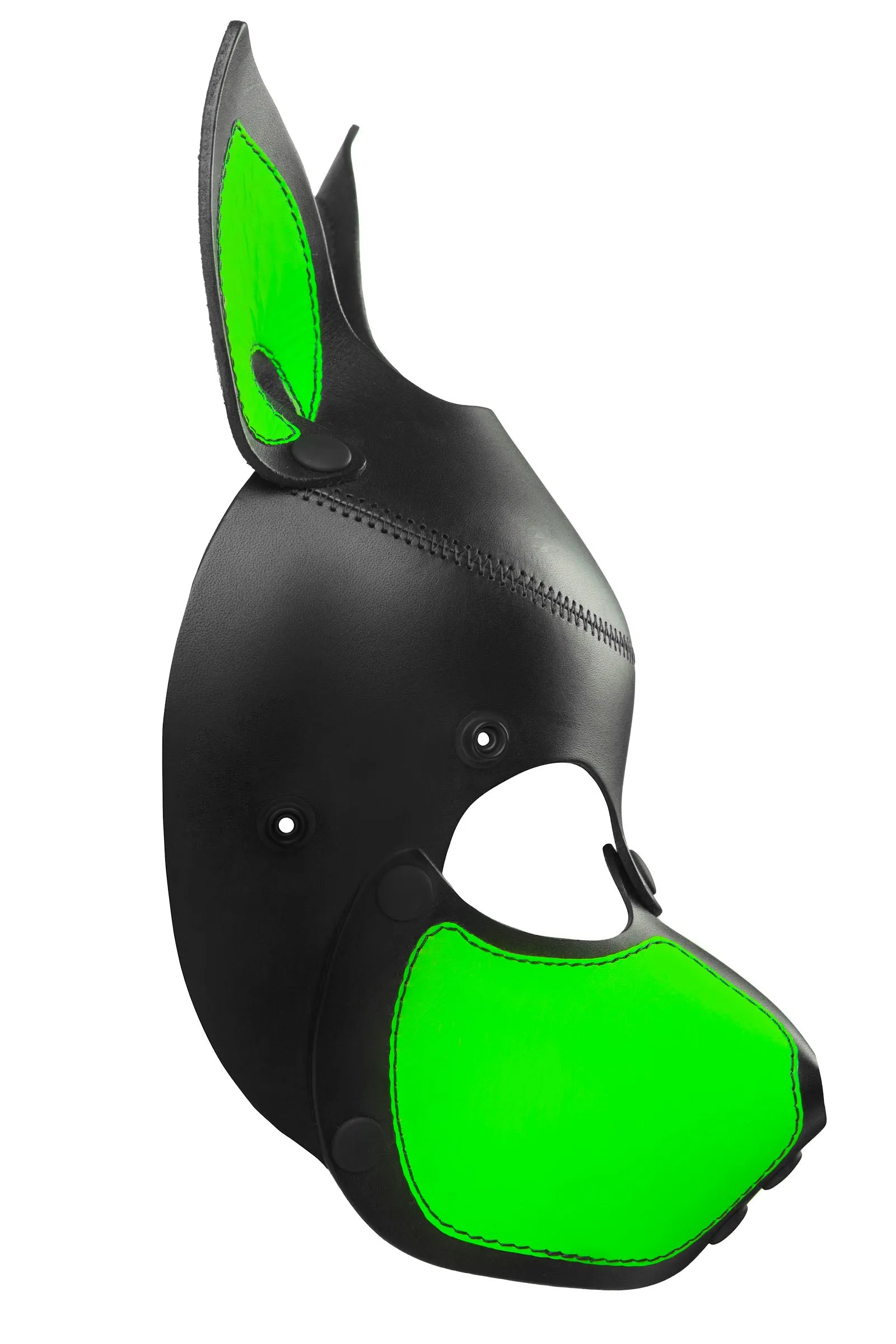 HEAD HARNESS PUP "SCOUT" - Fluro Colours
