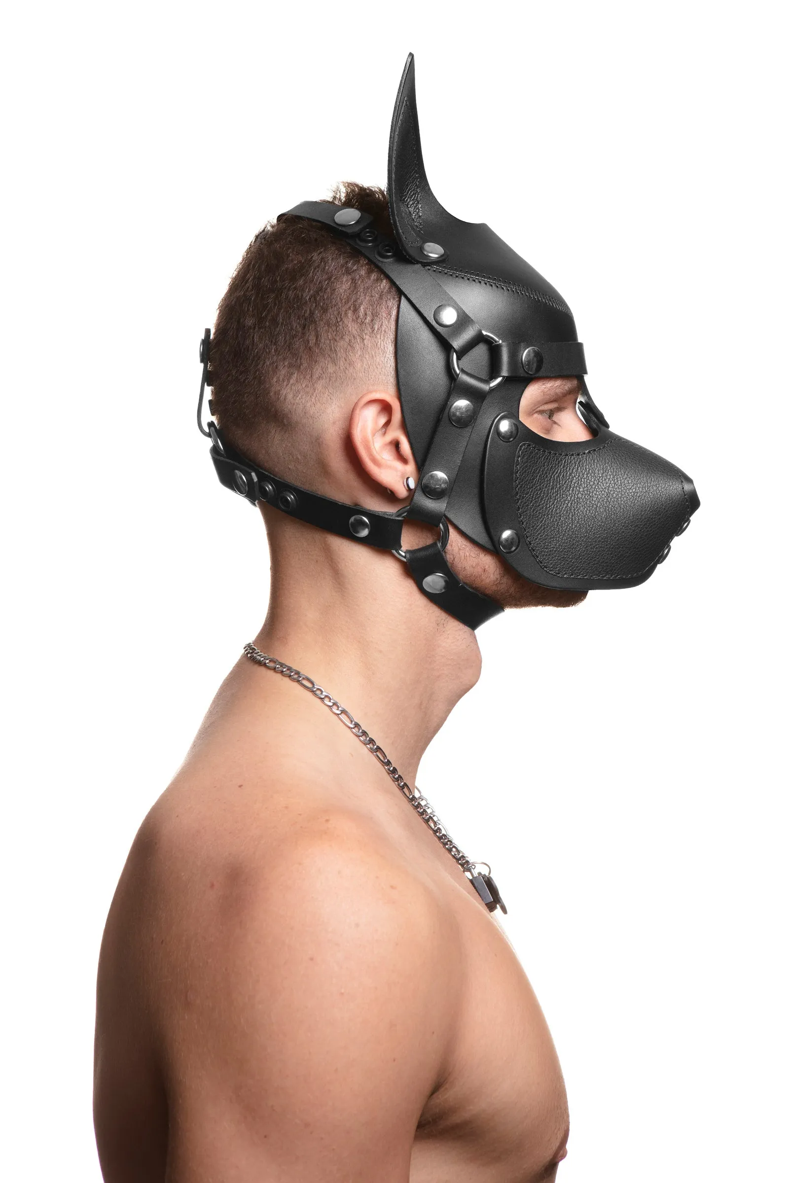 HEAD HARNESS PUP "SCOUT" - Stainless Steel