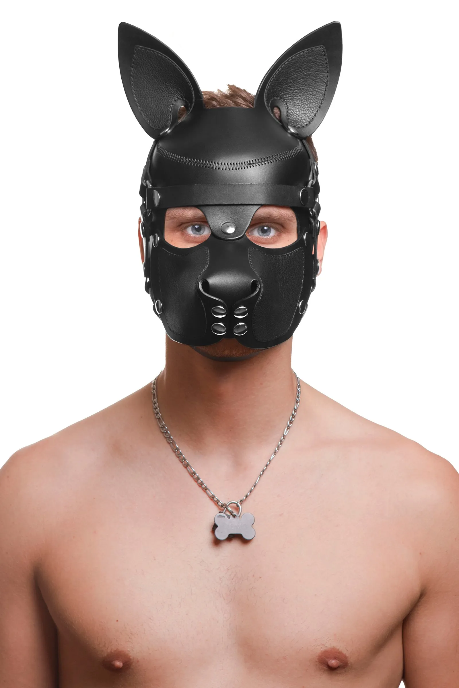 HEAD HARNESS PUP "SCOUT" - Stainless Steel