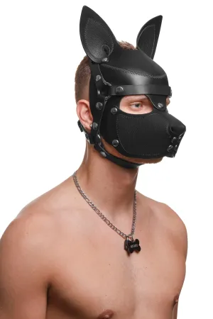 HEAD HARNESS PUP "SCOUT" - Stainless Steel