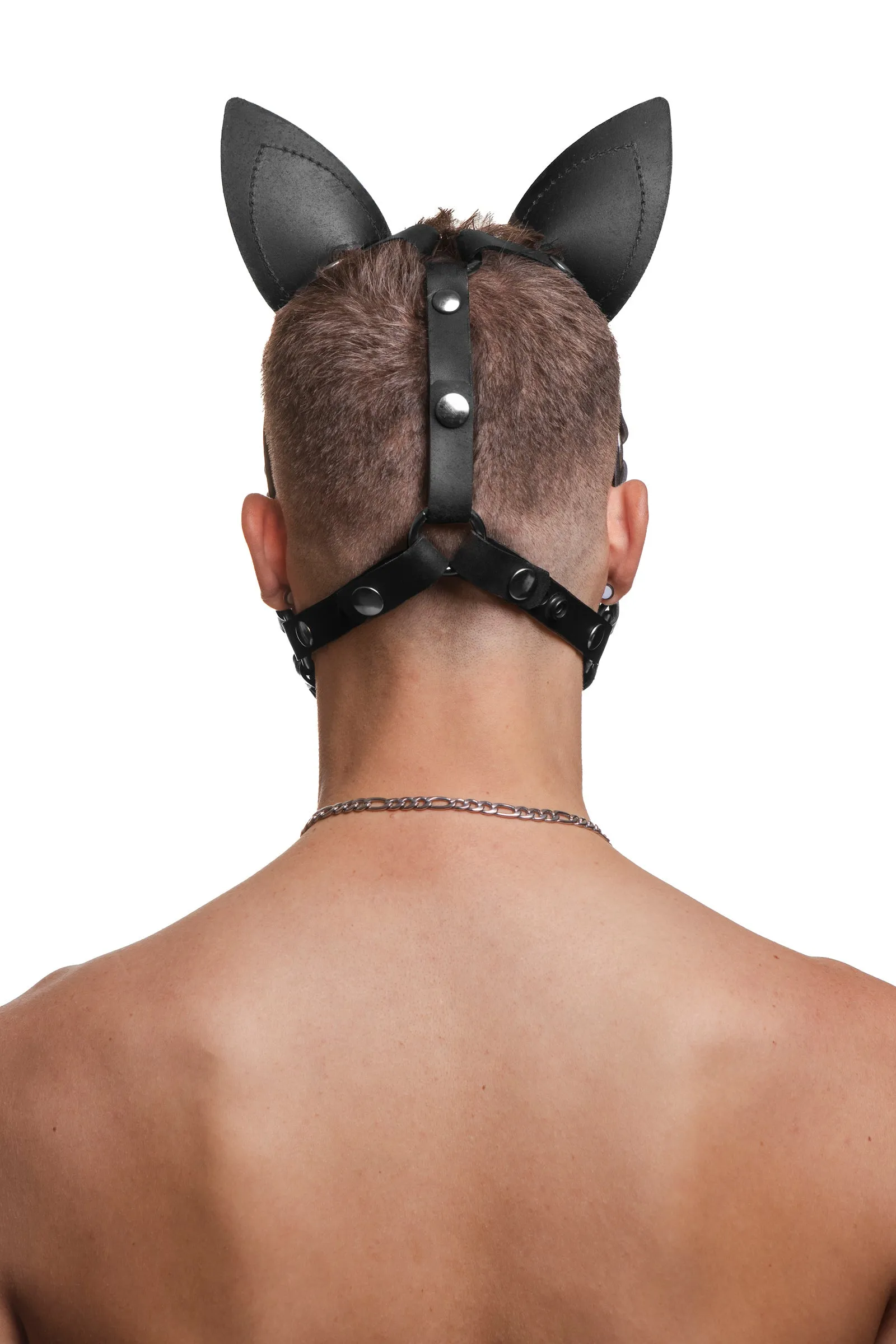 HEAD HARNESS PUP "SCOUT" - Stainless Steel