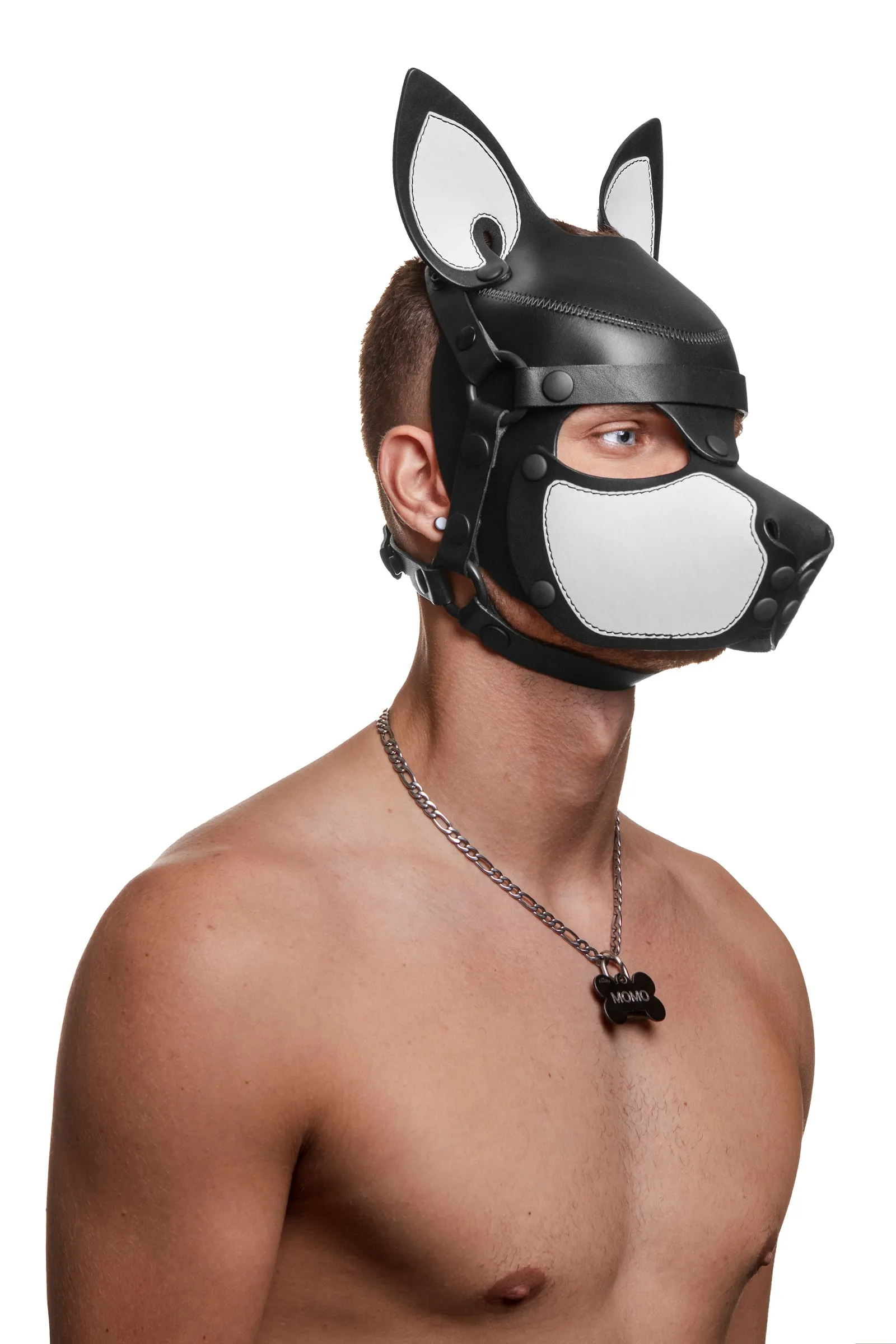 HEAD HARNESS PUP "SCOUT" - White & Black
