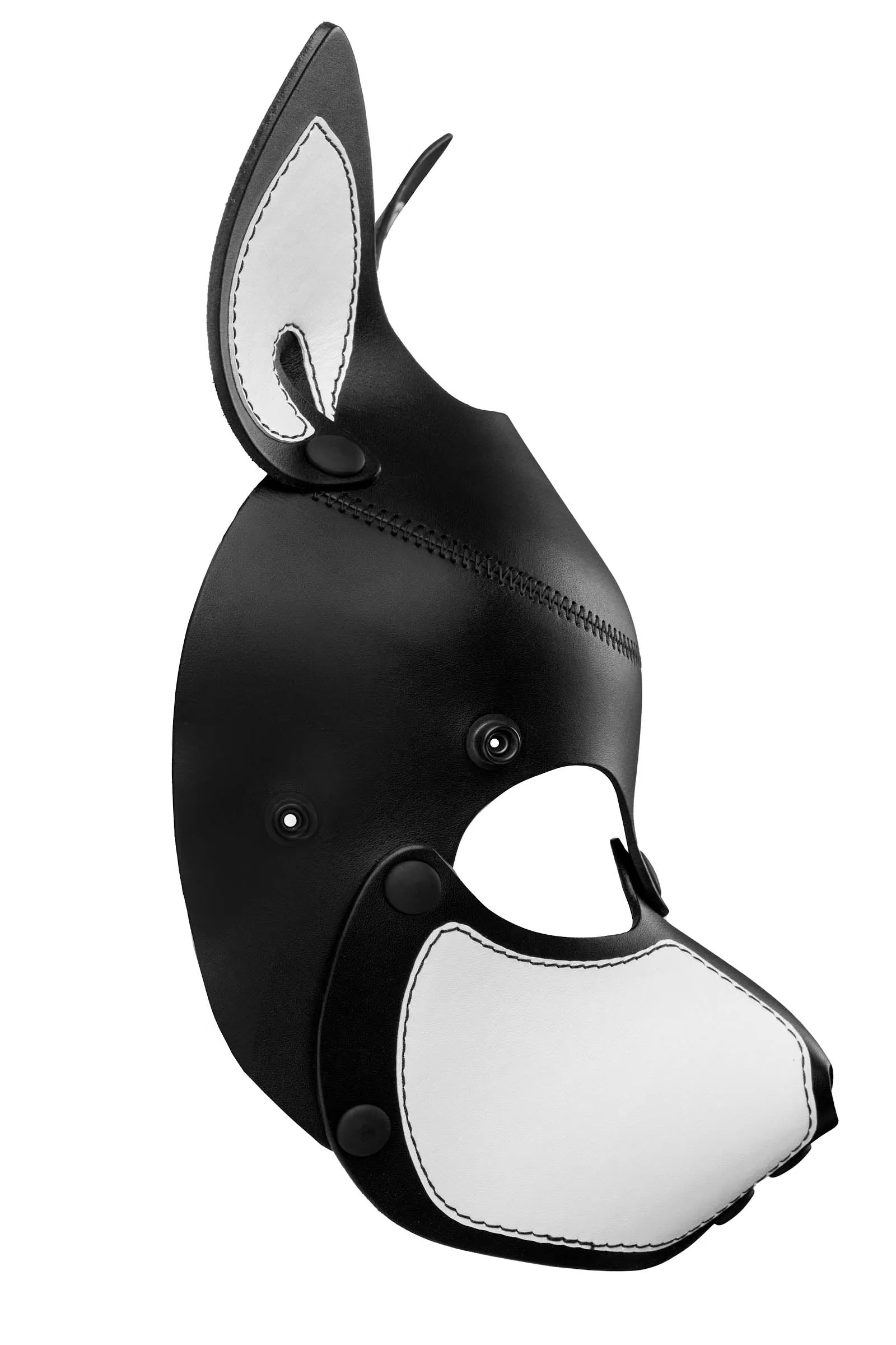 HEAD HARNESS PUP "SCOUT" - White & Black