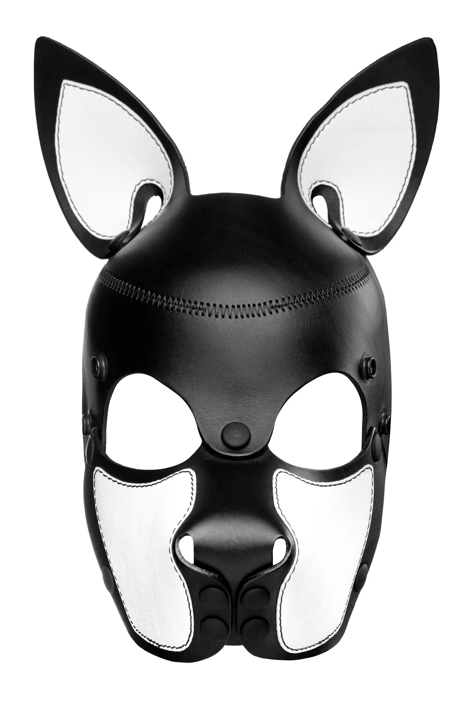 HEAD HARNESS PUP "SCOUT" - White & Black