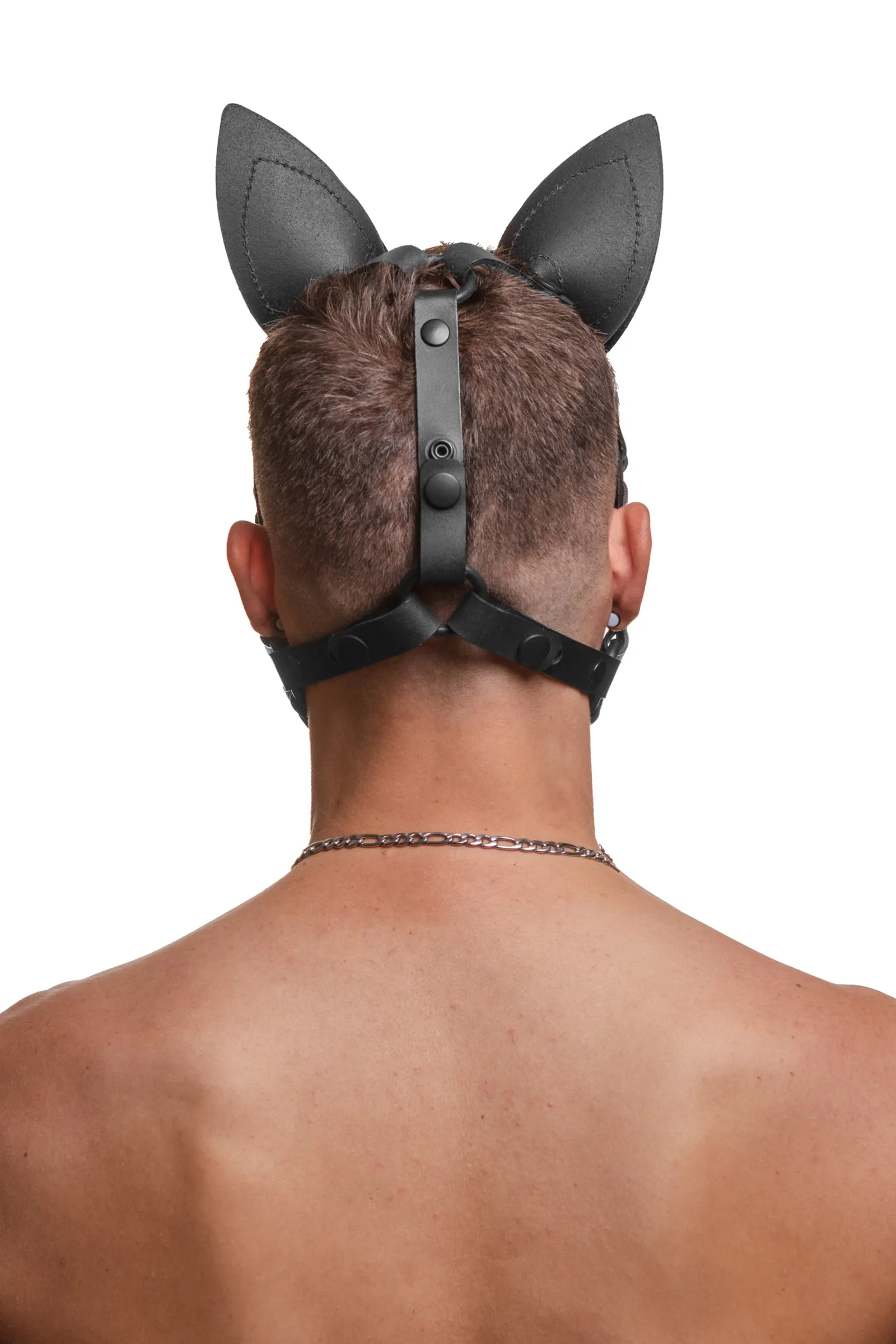 HEAD HARNESS PUP "SCOUT" - White & Black