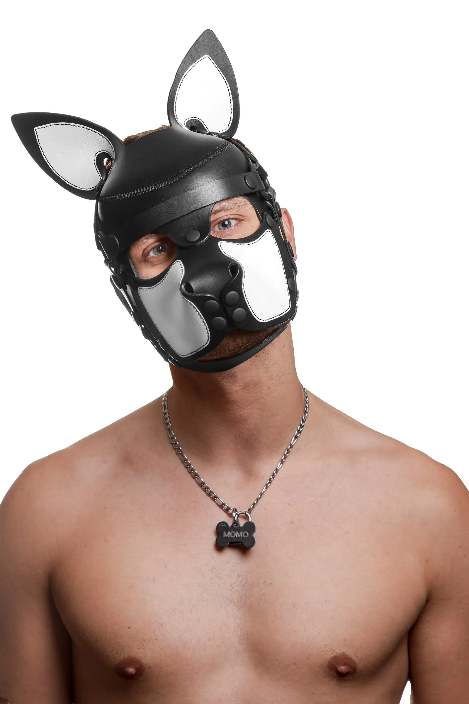 HEAD HARNESS PUP "SCOUT" - White & Black
