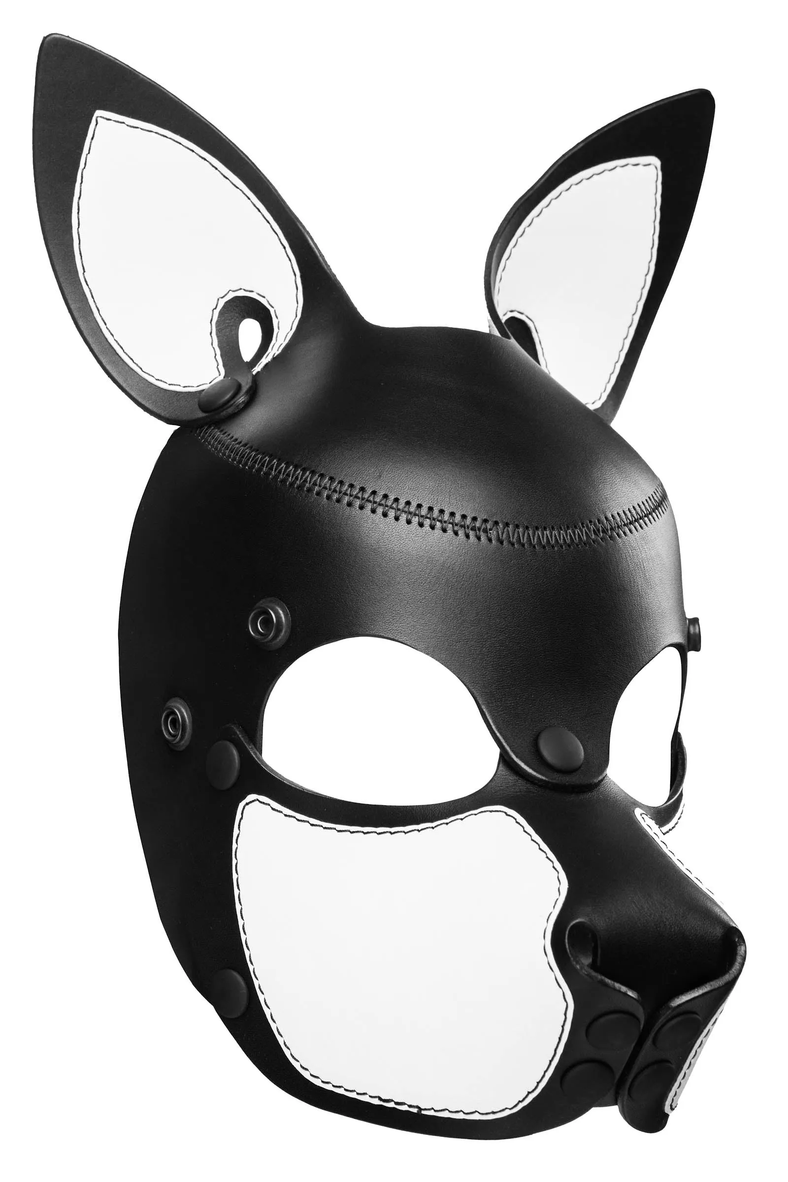 HEAD HARNESS PUP "SCOUT" - White & Black