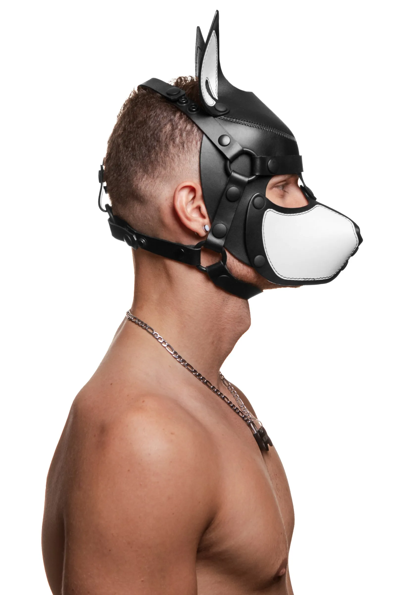 HEAD HARNESS PUP "SCOUT" - White & Black