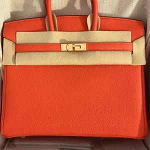 Hermès Birkin 25 Capucine Togo Gold Hardware GHW