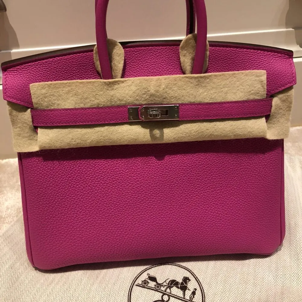 Hermès Birkin 25 Magnolia Togo Palladium Hardware PHW