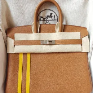 Hermès Birkin Limited Edition 25 Gold/Ambre Officier Togo Palladium Hardware PHW
