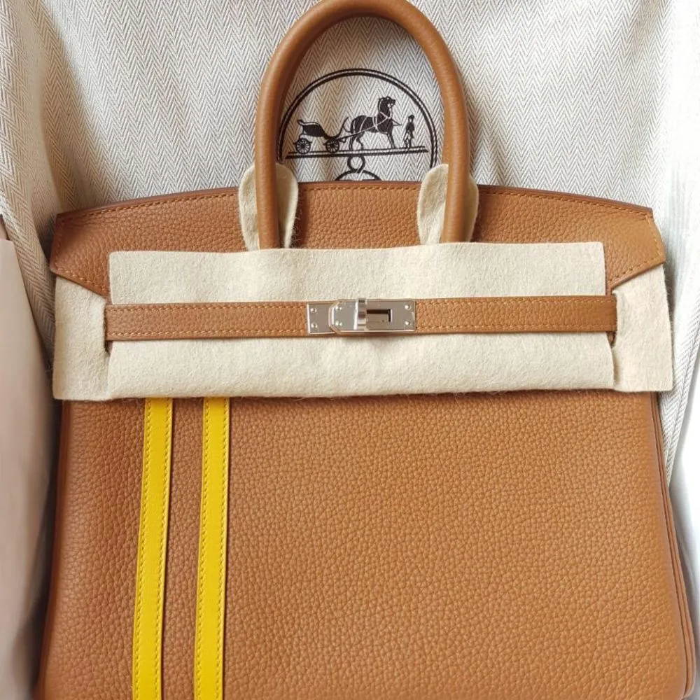 Hermès Birkin Limited Edition 25 Gold/Ambre Officier Togo Palladium Hardware PHW