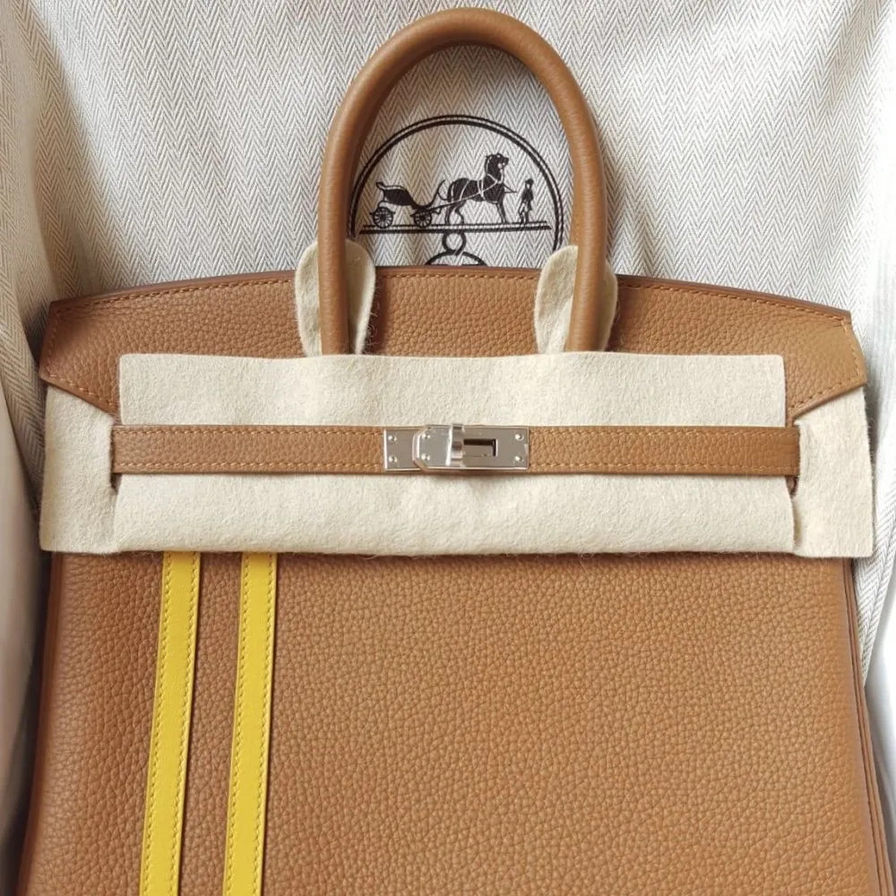 Hermès Birkin Limited Edition 25 Gold/Ambre Officier Togo Palladium Hardware PHW