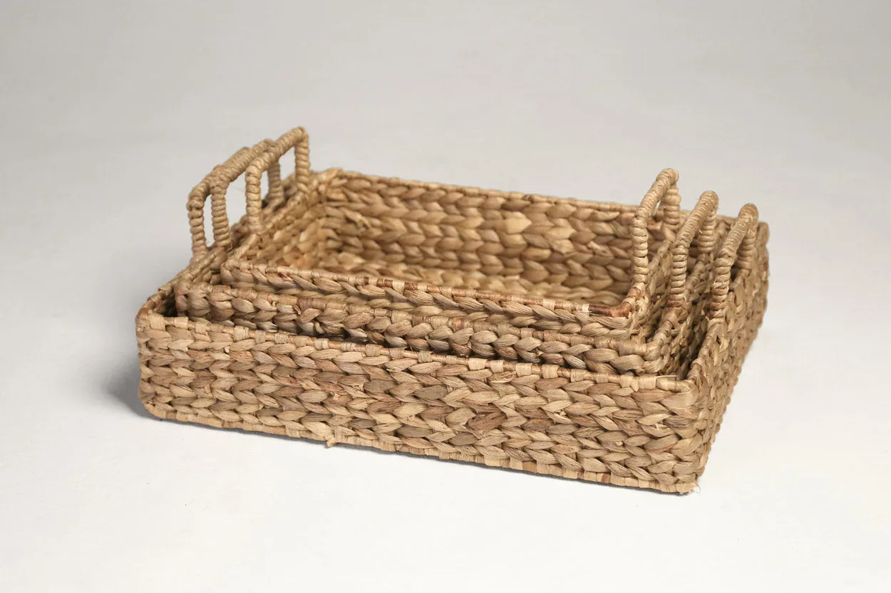 Hyacinth Rectangle Trays