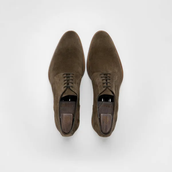 Pisa Suede Derby in Dark Bark
