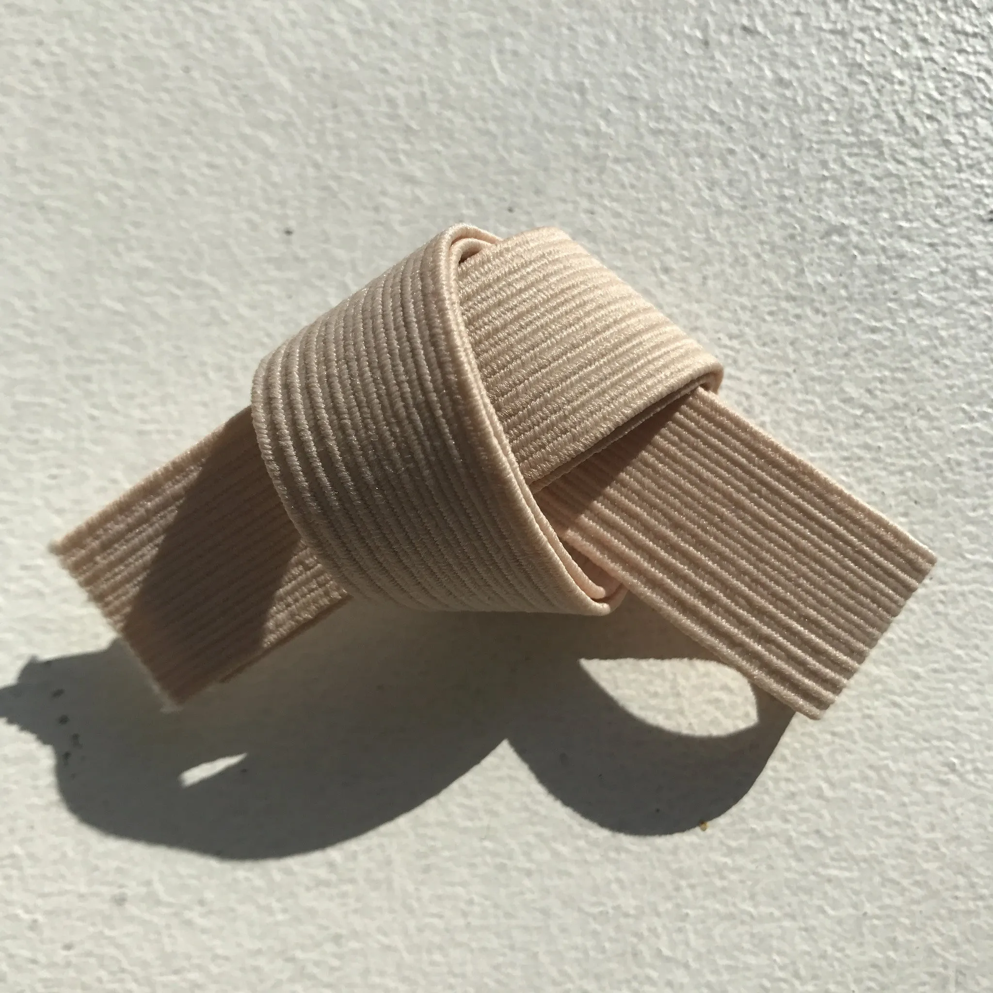 Pointe shoe elastic
