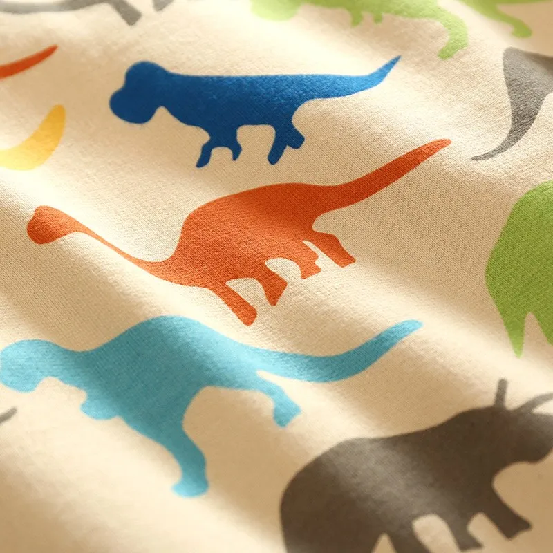 Spring Autumn Long Sleeve Sweatshirt for Boys