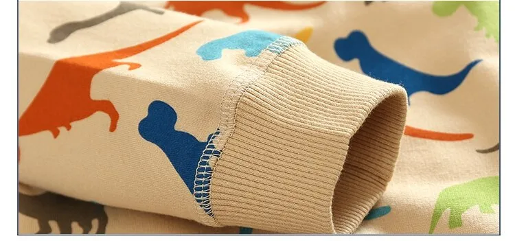 Spring Autumn Long Sleeve Sweatshirt for Boys