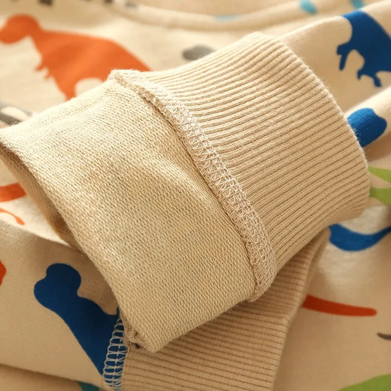 Spring Autumn Long Sleeve Sweatshirt for Boys