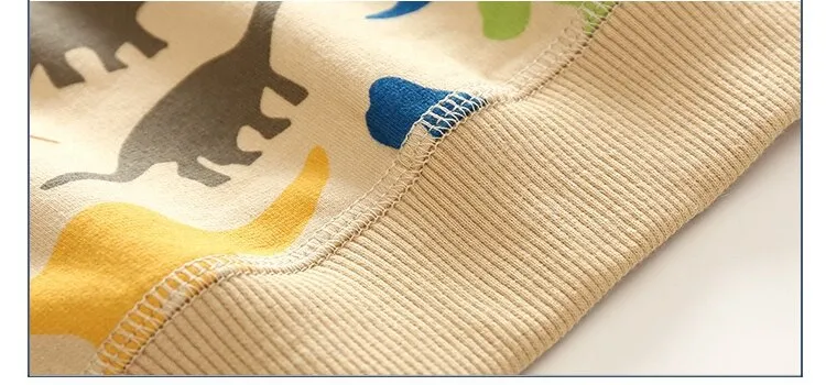 Spring Autumn Long Sleeve Sweatshirt for Boys