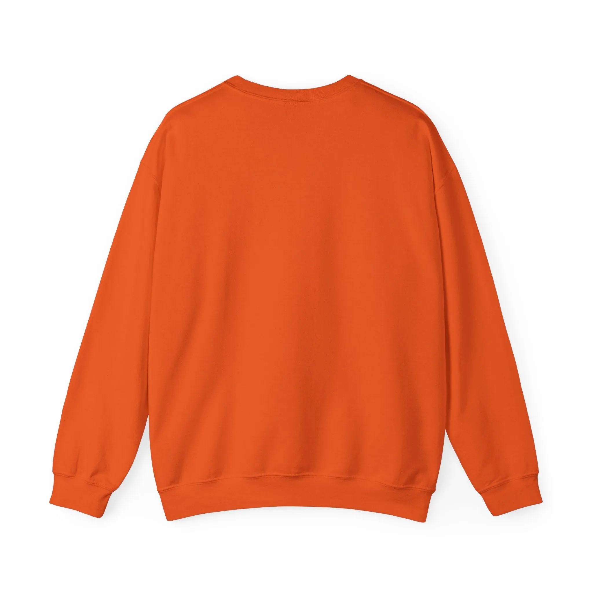 Stitched Teddy Bear Sweatshirt