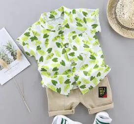 Summer Boys Cartoon Dinosaur Print Short Sleeve Outfit - White, Blue, Green, Pink, Beige, Khaki, Red