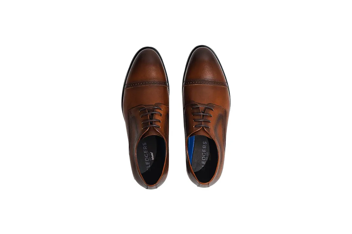 Talgat Brogue Derby - Brown