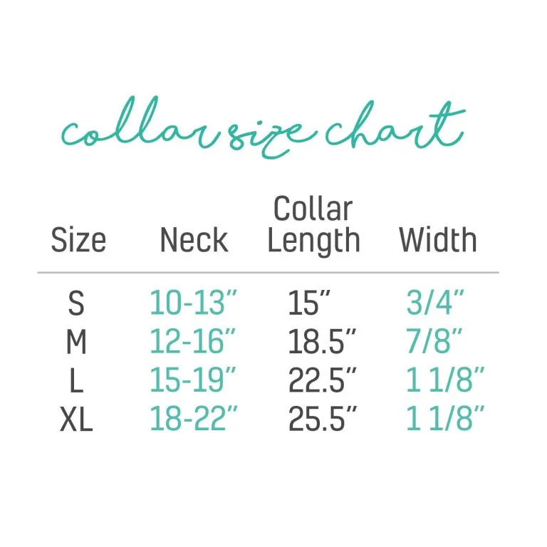 Vivid Collection Collar - Teal